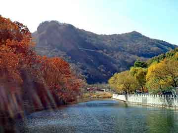 管家婆免费正版资起大全，都市群芳谱